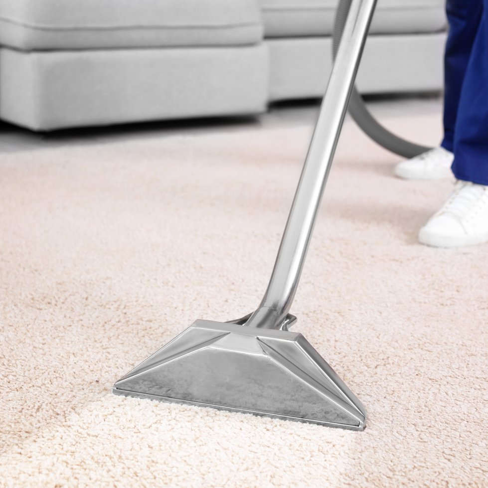 carpet shampooing and extraction